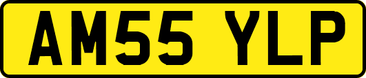 AM55YLP