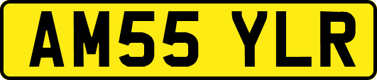 AM55YLR