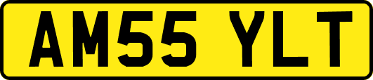 AM55YLT