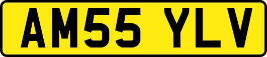 AM55YLV
