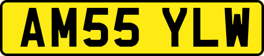 AM55YLW