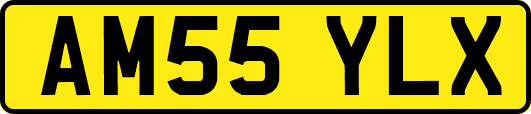 AM55YLX