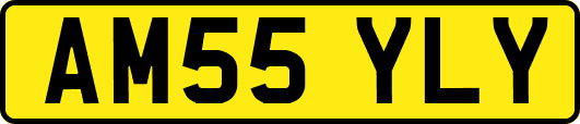AM55YLY