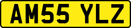 AM55YLZ