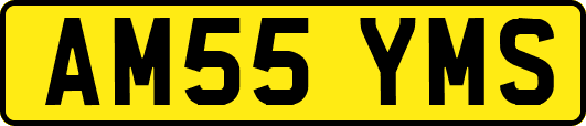 AM55YMS