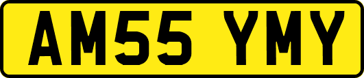 AM55YMY