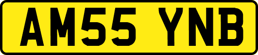AM55YNB