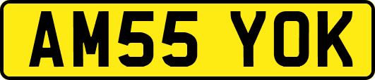 AM55YOK