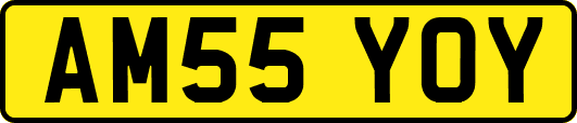 AM55YOY