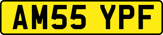 AM55YPF