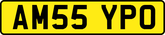 AM55YPO