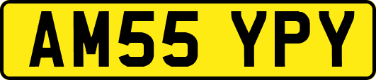 AM55YPY