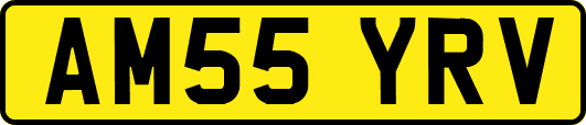 AM55YRV