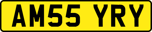 AM55YRY