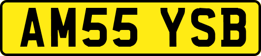 AM55YSB