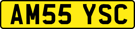 AM55YSC