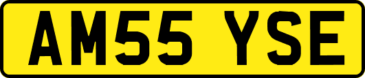 AM55YSE