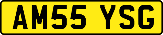 AM55YSG