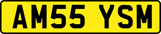 AM55YSM