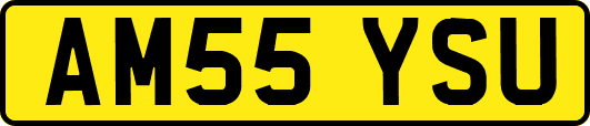 AM55YSU
