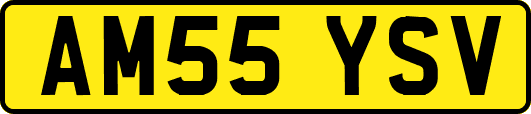 AM55YSV