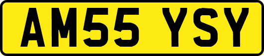 AM55YSY