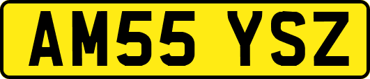 AM55YSZ