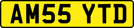 AM55YTD