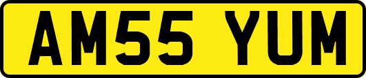 AM55YUM