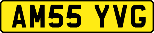 AM55YVG
