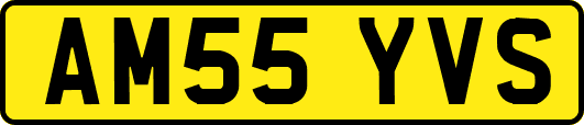 AM55YVS