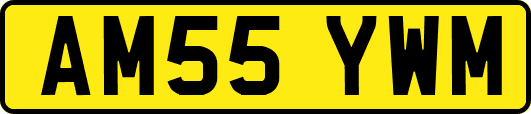 AM55YWM