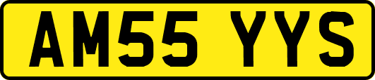 AM55YYS