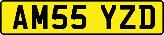 AM55YZD