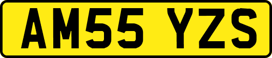 AM55YZS