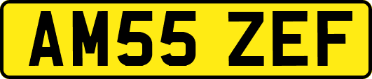 AM55ZEF