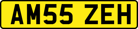 AM55ZEH