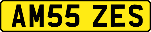 AM55ZES