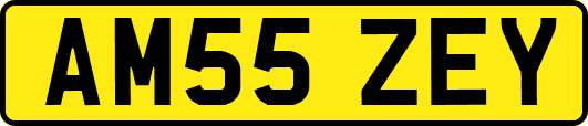 AM55ZEY