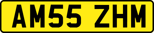 AM55ZHM