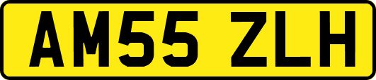 AM55ZLH