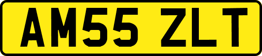 AM55ZLT