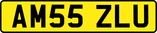 AM55ZLU