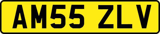 AM55ZLV