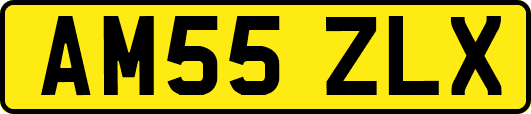 AM55ZLX