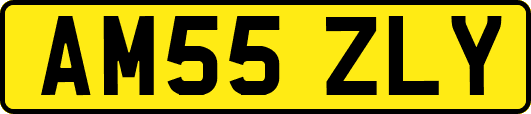 AM55ZLY