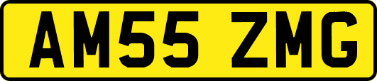AM55ZMG