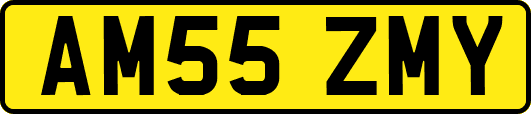 AM55ZMY