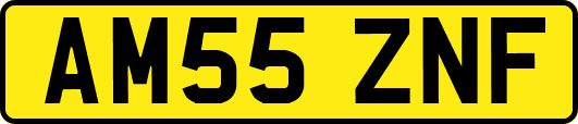 AM55ZNF