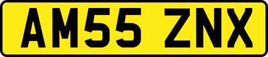 AM55ZNX